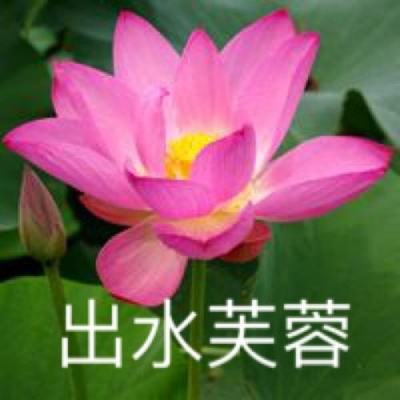青丘狐传说手游百度版下载